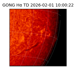 gong - 2026-02-01T10:00:22
