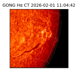 gong - 2026-02-01T11:04:42