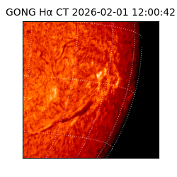 gong - 2026-02-01T12:00:42