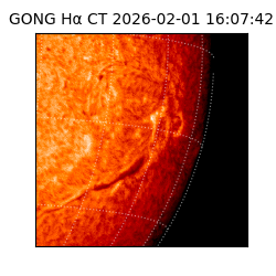 gong - 2026-02-01T16:07:42