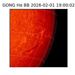 gong - 2026-02-01T19:00:02