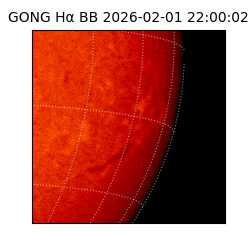 gong - 2026-02-01T22:00:02