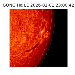 gong - 2026-02-01T23:00:42