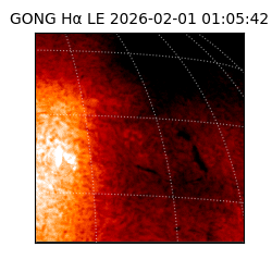 gong - 2026-02-01T01:05:42