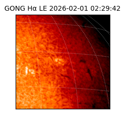 gong - 2026-02-01T02:29:42