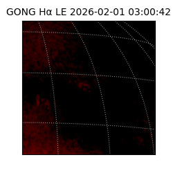 gong - 2026-02-01T03:00:42