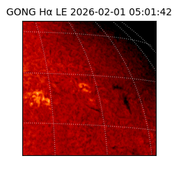 gong - 2026-02-01T05:01:42