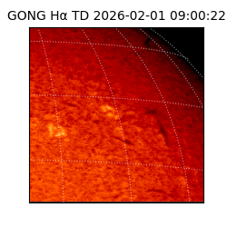 gong - 2026-02-01T09:00:22