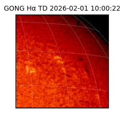 gong - 2026-02-01T10:00:22