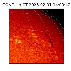 gong - 2026-02-01T14:00:42