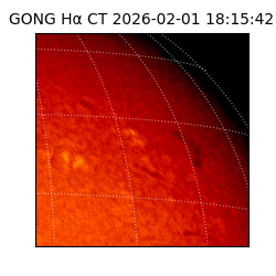gong - 2026-02-01T18:15:42