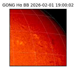gong - 2026-02-01T19:00:02