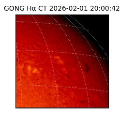 gong - 2026-02-01T20:00:42
