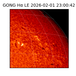 gong - 2026-02-01T23:00:42