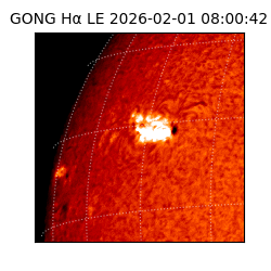 gong - 2026-02-01T08:00:42