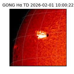 gong - 2026-02-01T10:00:22