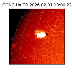 gong - 2026-02-01T13:00:22