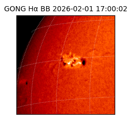 gong - 2026-02-01T17:00:02