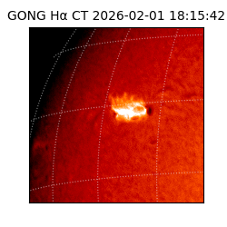 gong - 2026-02-01T18:15:42