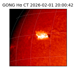 gong - 2026-02-01T20:00:42