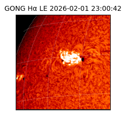 gong - 2026-02-01T23:00:42