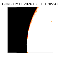 gong - 2026-02-01T01:05:42