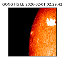 gong - 2026-02-01T02:29:42