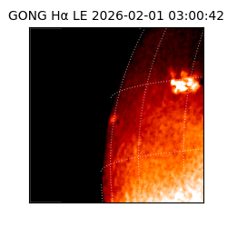 gong - 2026-02-01T03:00:42