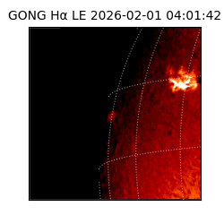 gong - 2026-02-01T04:01:42