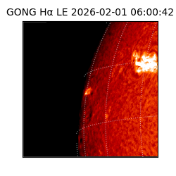 gong - 2026-02-01T06:00:42