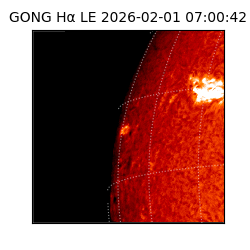 gong - 2026-02-01T07:00:42