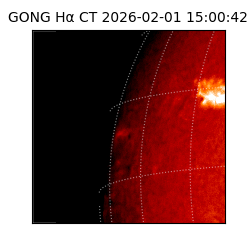 gong - 2026-02-01T15:00:42