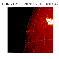 gong - 2026-02-01T16:07:42
