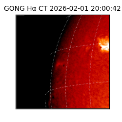 gong - 2026-02-01T20:00:42