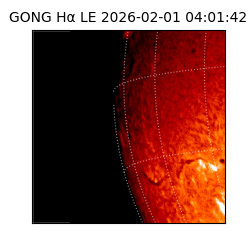 gong - 2026-02-01T04:01:42