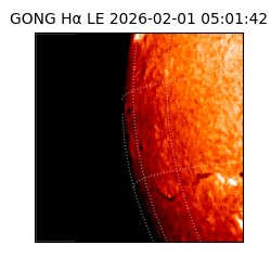 gong - 2026-02-01T05:01:42