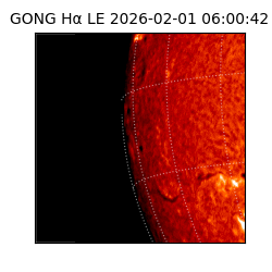 gong - 2026-02-01T06:00:42