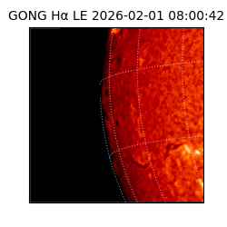 gong - 2026-02-01T08:00:42