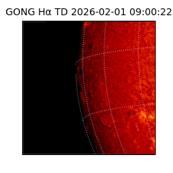 gong - 2026-02-01T09:00:22