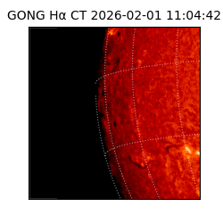 gong - 2026-02-01T11:04:42