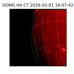 gong - 2026-02-01T16:07:42