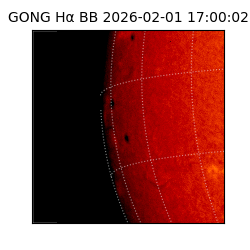gong - 2026-02-01T17:00:02