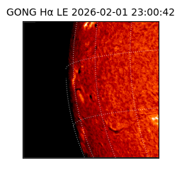 gong - 2026-02-01T23:00:42