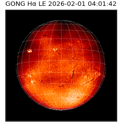 gong - 2026-02-01T04:01:42