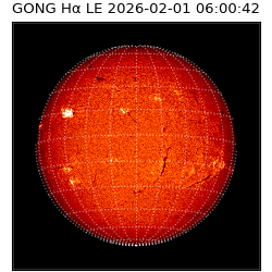gong - 2026-02-01T06:00:42