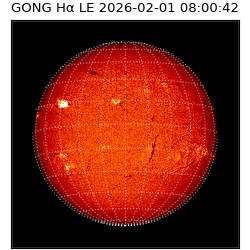 gong - 2026-02-01T08:00:42