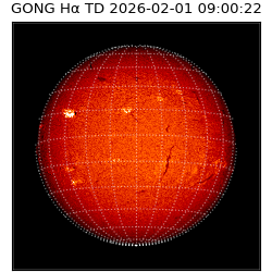 gong - 2026-02-01T09:00:22