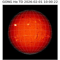 gong - 2026-02-01T10:00:22