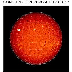 gong - 2026-02-01T12:00:42