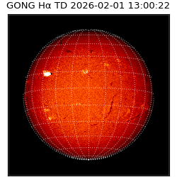 gong - 2026-02-01T13:00:22